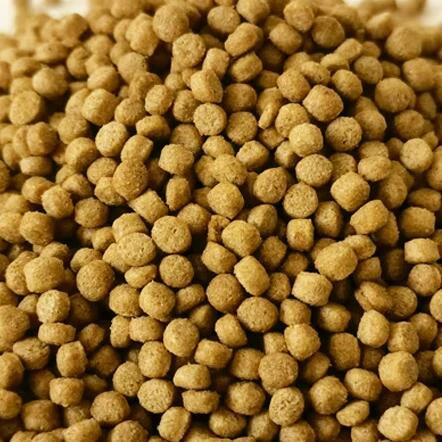 Fish Feed pellet